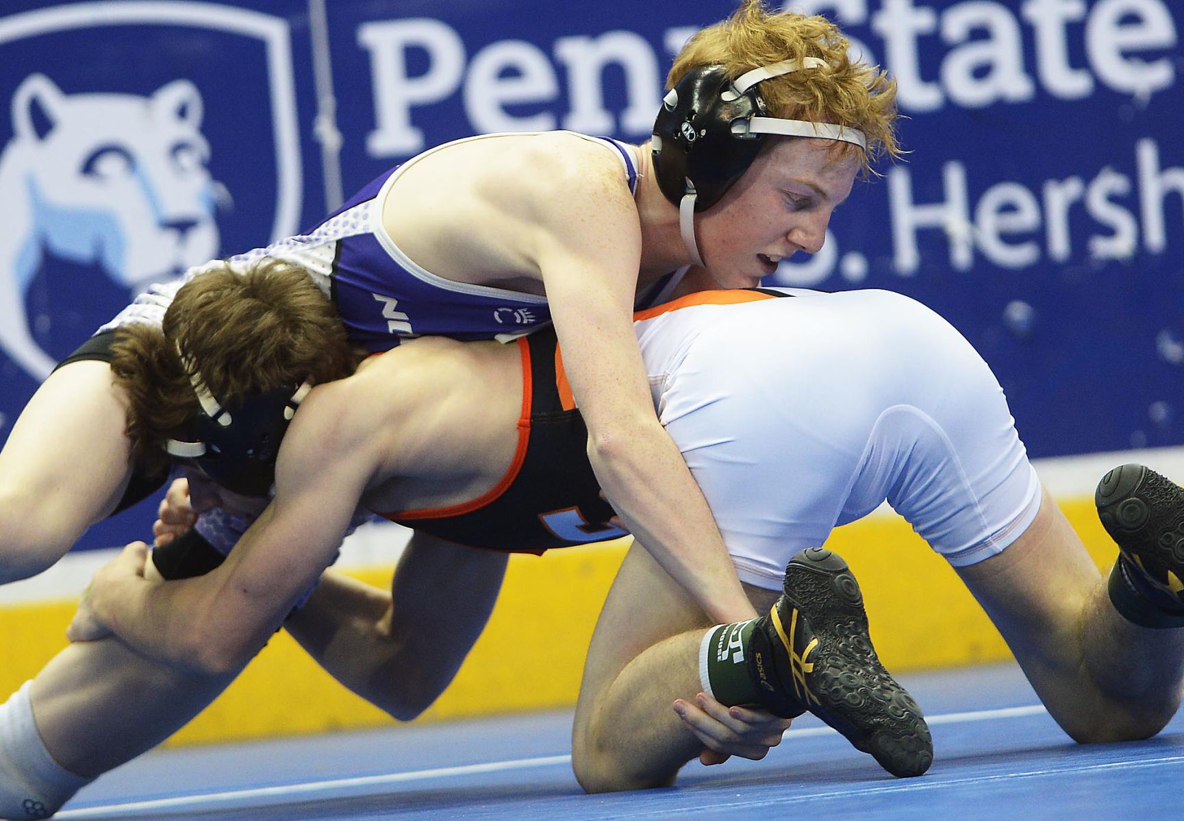 District 3 Individual Wrestling Championships